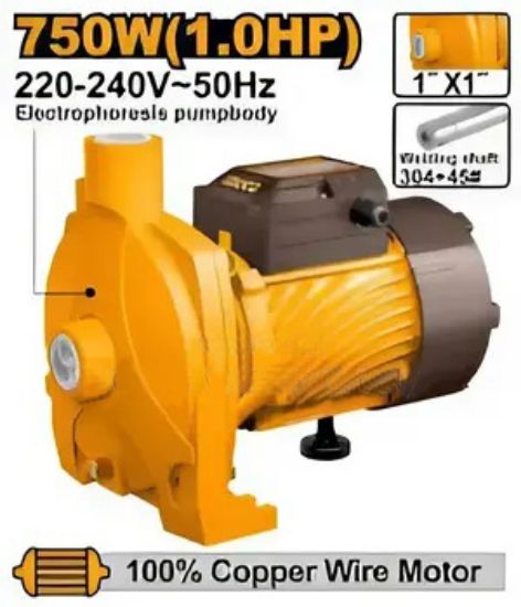 Turbine Water Pump 1.0HP / 750W 1– CPM75068